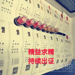 深圳餐飲服務 融合、創新與城市脈搏